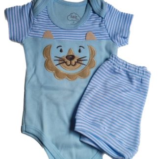 Conjunto bordado Leão